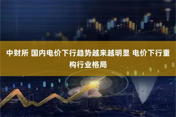 中财所 国内电价下行趋势越来越明显 电价下行重构行业格局