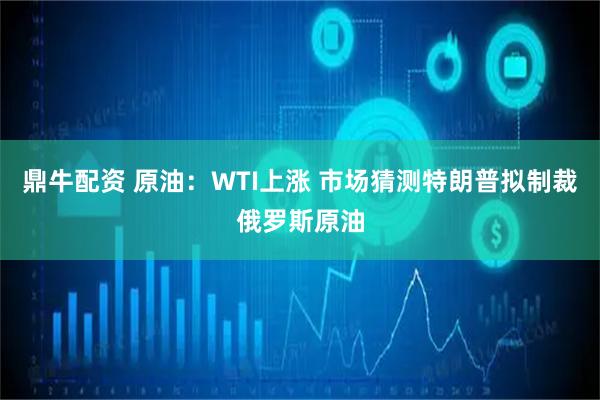鼎牛配资 原油：WTI上涨 市场猜测特朗普拟制裁俄罗斯原油
