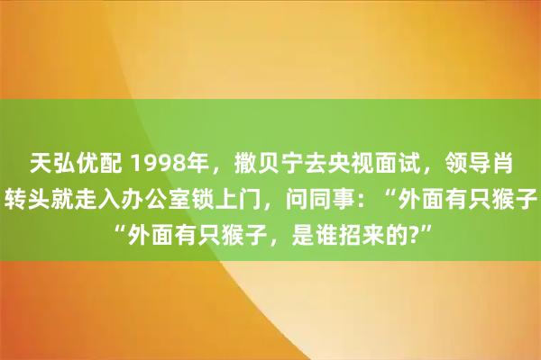 天弘优配 1998年，撒贝宁去央视面试，领导肖晓琳一看到他，转头就走入办公室锁上门，问同事：“外面有只猴子，是谁招来的?”